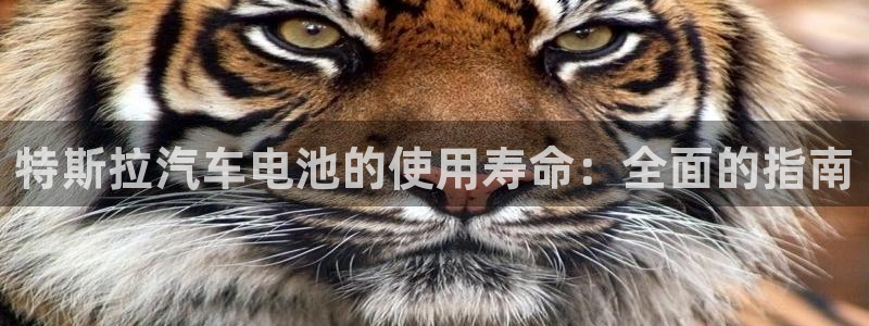 优发国际不出款