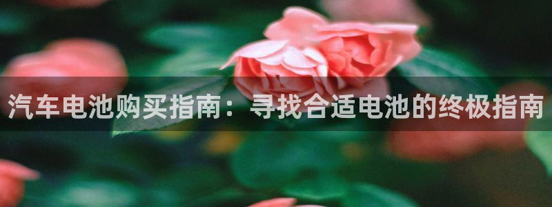 优发国际手机app下载安装最新版