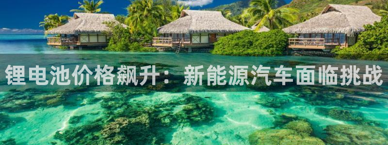 优发国际官网qy88