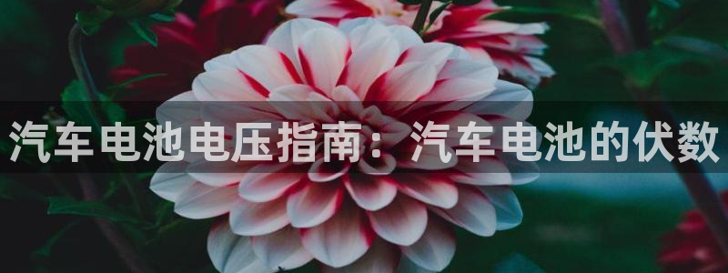 优发国际手机客户端下载官网