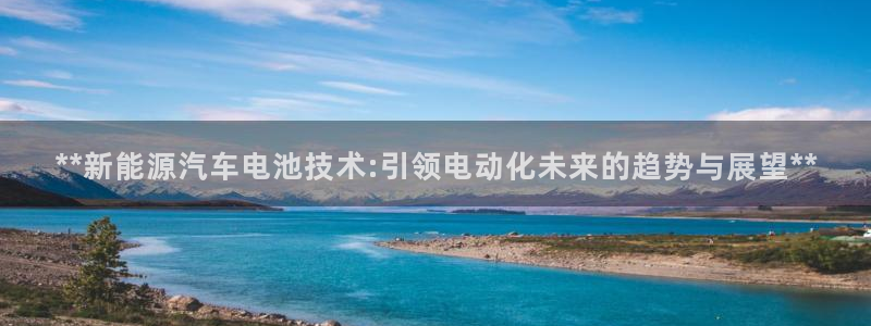 优发国际这个平台怎么样啊
