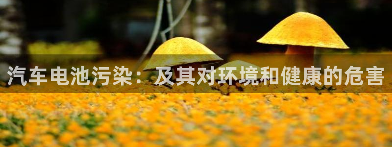 优发国际官网下载