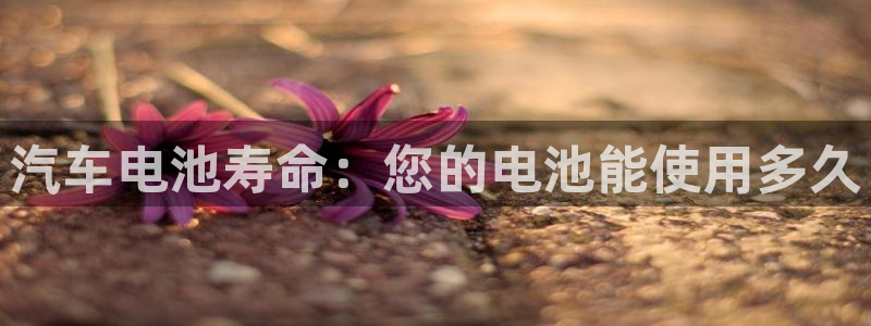优发国际官网入口app下载