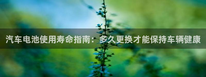 优发娱乐pt官网客户端