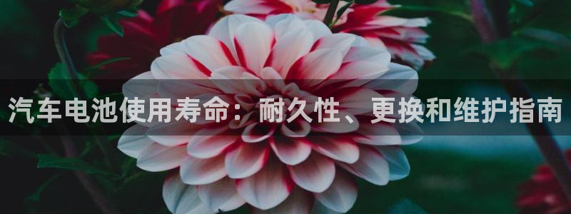 优发国际官网