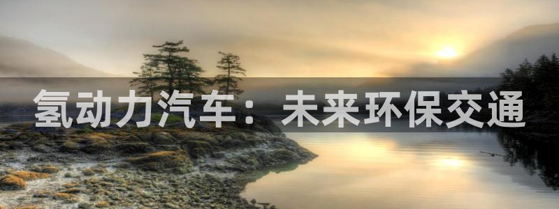 优发国际安卓版下载安装
