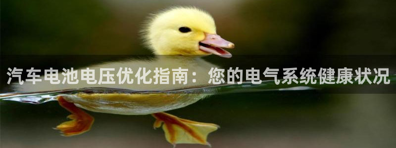 优发国际是合法的吗安全吗