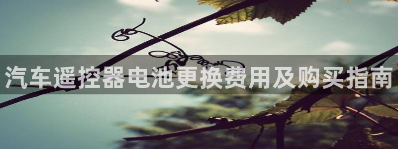 优发国际vip网址