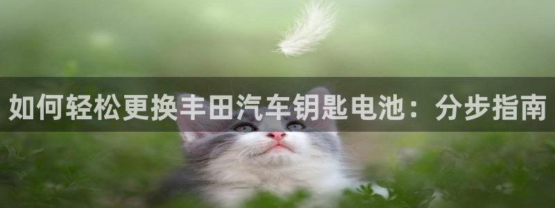 优发国际平台手机版下载官网
