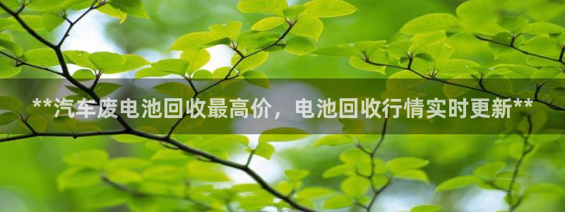 优发国际官网手