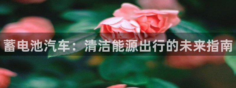 优发国际手机版网站下载