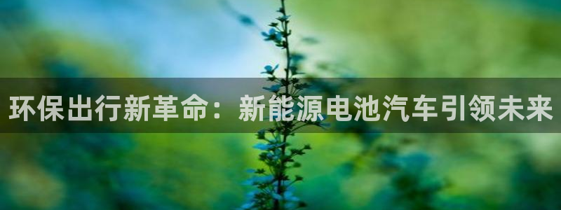 优发国际集团股份有限公司招聘