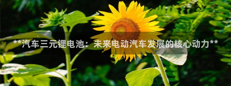 优发国际是不是黑网