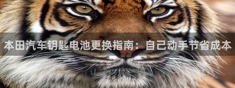 优发国际游戏官网