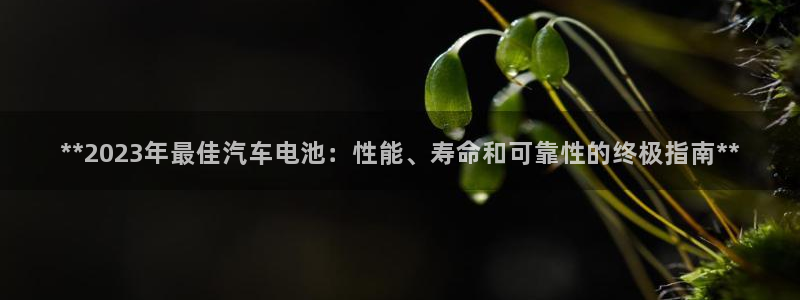 优发国际提现不了