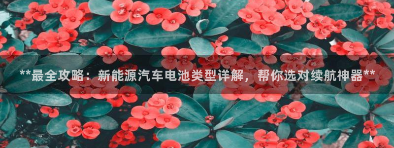 优发国际官网
