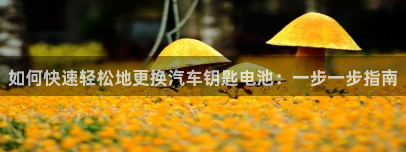 优发国际手机app下载安装官网