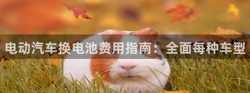 优发国际平台
