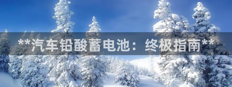 优发国际youfa966