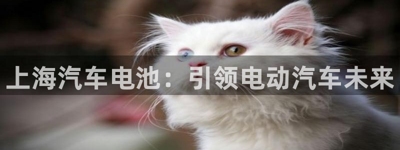 优发国际手机版唯一官网