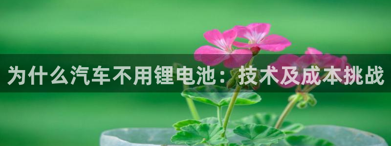 优发国际平台u8是什么软件