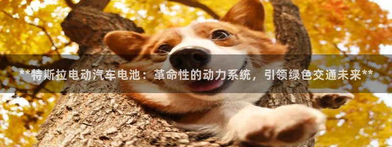 优发国际手机客户端下载安装手机版