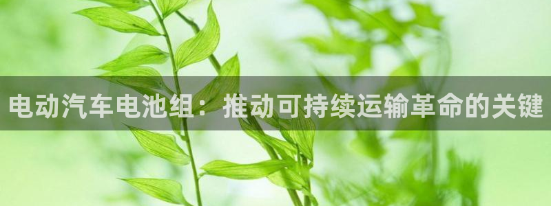 优发国际首页官网
