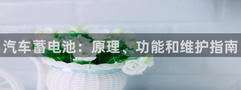 优发国际的官网是正品吗