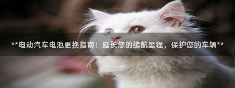 优发国际注册平台是什么