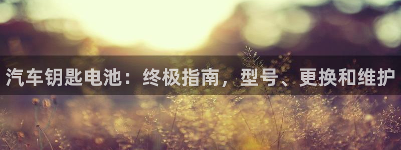 优发国际VIP网址