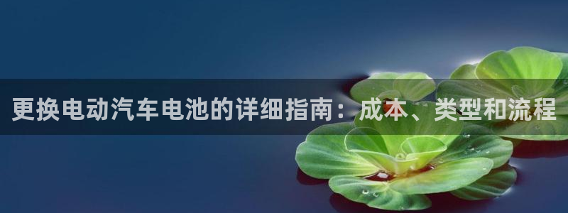 优发国际官网手机版下载