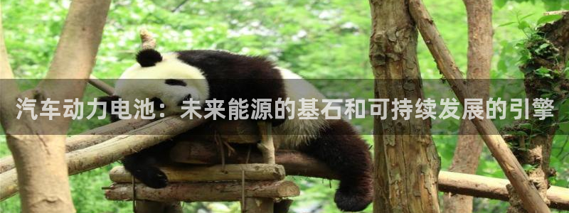 优发国际手机版网站官网