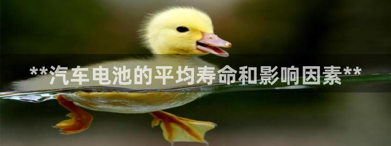 优发国际客服联系方式是什么