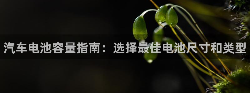 优发国际官方网手机版入口