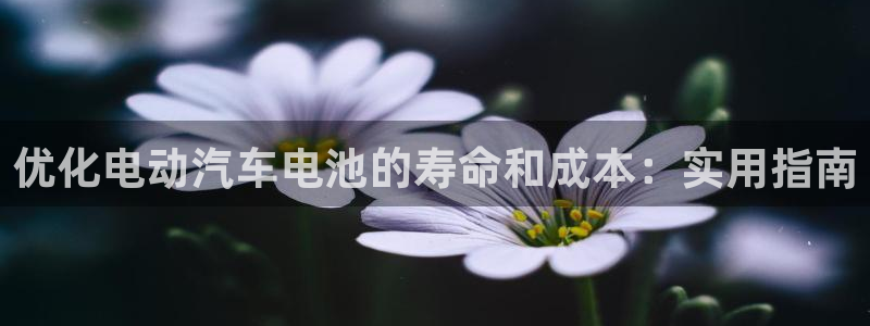 优发国际注册平台官网