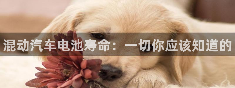 优发国际官网手机版代理