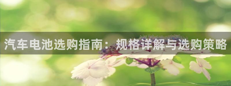 优发国际线上娱官网