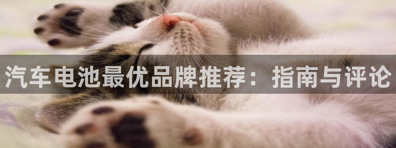 优发国际多少