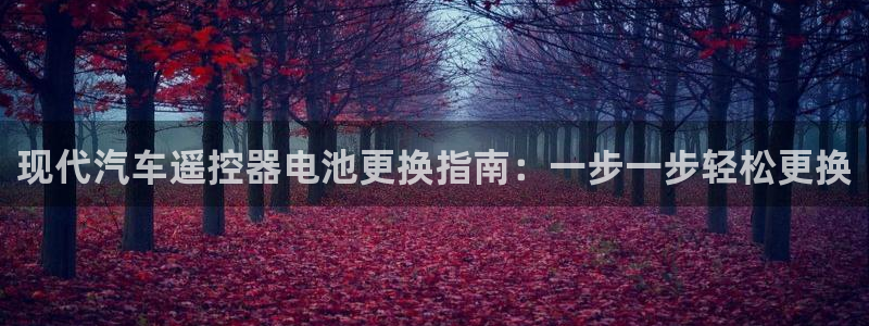 优发国际是大平台吗