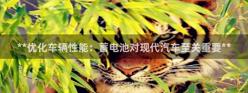 优发国际官方网