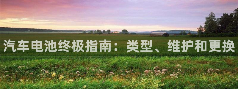 优发国际是大平台吗是真的吗