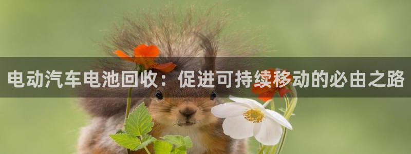 优发国际网官网17w8