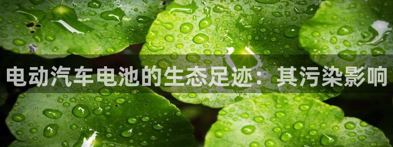 优发国际集团股份有限公司