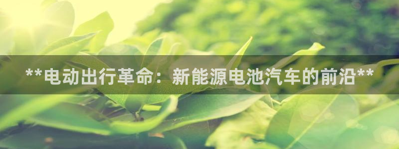 优发国际网官网17w8
