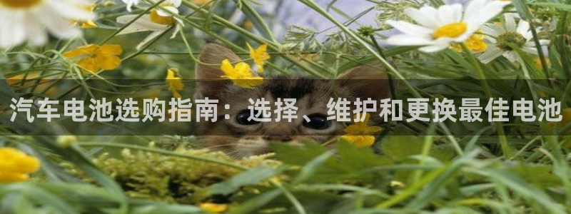 优发国际怎么样