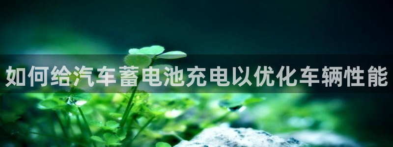 优发国际登陆u