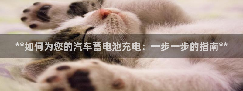 优发国际官网手机版