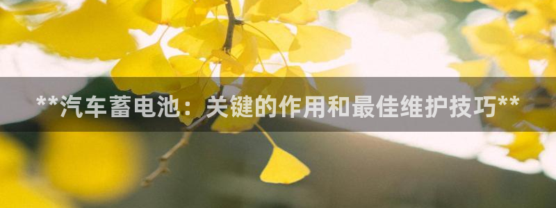 优发国际的网站是