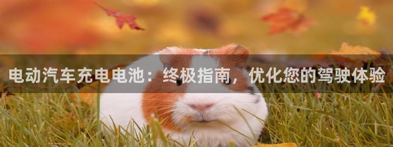 优发国际官网下载安装手机版