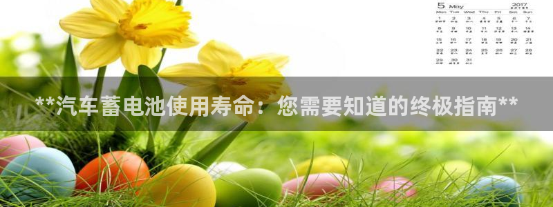 优发国际网站多少